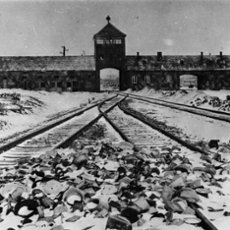 auschwitz